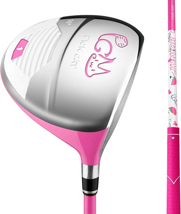 Ensemble complet de clubs de golf junior 20 pièces pour droitier pour filles et enfants, comprend un pilote surdimensionné, un hybride 5#, des fers 7# et SW#, un putter gratuit, un sac de support, des