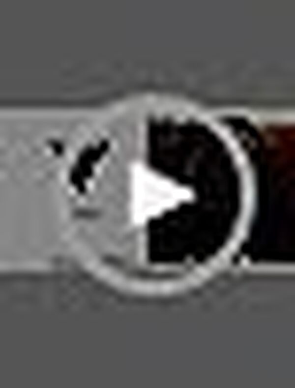 Garmin Approach S60 - Montre GPS de Golf - Noir avec bande de silicone