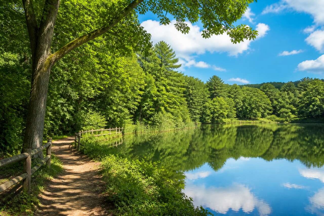 Bethpage State Park : redécouvrez la nature en jouant au cœur des bois luxuriants